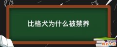 比格犬为什么被禁养