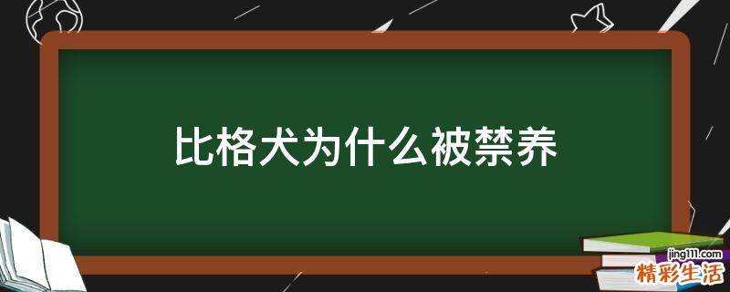 比格犬为什么被禁养