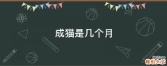 成猫是几个月