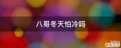 八哥冬天怕冷吗
