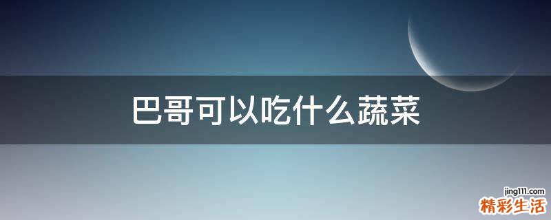 巴哥可以吃什么蔬菜