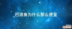 巴浪鱼为什么那么便宜