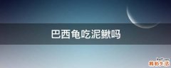 巴西龟吃泥鳅吗