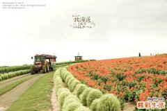 “斜视”相关解答与常规诊治方法