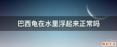 巴西龟在水里浮起来正常吗