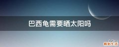 巴西龟需要晒太阳吗