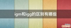 igm和igg的区别有哪些