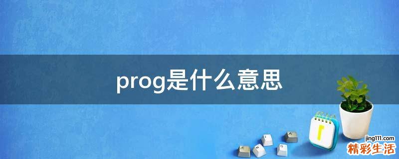 prog是什么意思