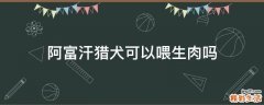 阿富汗猎犬可以喂生肉吗