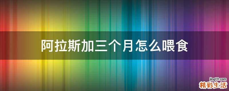 阿拉斯加三个月怎么喂食
