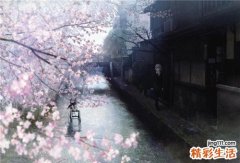 中医拯救夜猫子