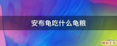 安布龟吃什么龟粮