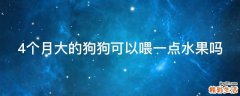 4个月大的狗狗可以喂一点水果吗