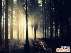 3 盘点漂洋过海去治癌病例的背后