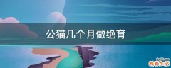 公猫几个月做绝育