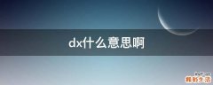 dx什么意思啊