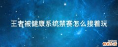 王者被健康系统禁赛怎么接着玩