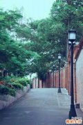 囊距翠雀