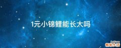 1元小锦鲤能长大吗