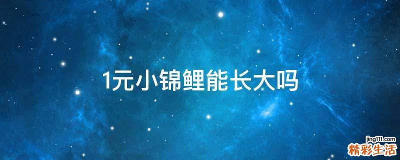 1元小锦鲤能长大吗