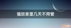 猫放家里几天不用管