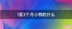1至3个月小狗吃什么
