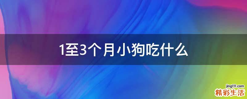1至3个月小狗吃什么
