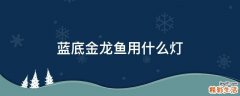 蓝底金龙鱼用什么灯