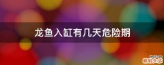 龙鱼入缸有几天危险期