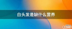 白头发是缺什么营养