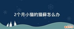 2个月小猫的猫藓怎么办