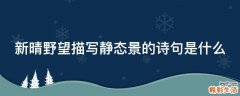 新晴野望描写静态景的诗句是什么