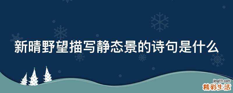 新晴野望描写静态景的诗句是什么