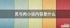 灵与肉小说内容是什么