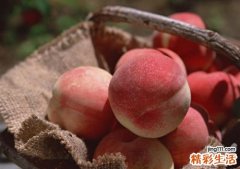 桃子的功效与作用