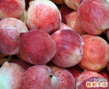吃桃子的好处和坏处