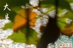 2023大暑是最热的时候吗 大暑是不是最热的节气