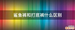 鲨鱼裤和打底裤什么区别