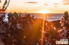 2023大暑注意事项 大暑的风俗禁忌是什么