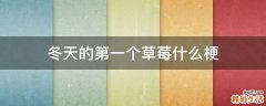 冬天的第一个草莓什么梗
