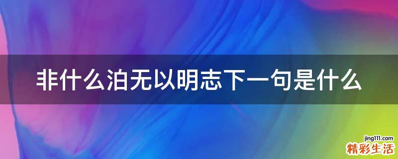 非什么泊无以明志下一句是什么