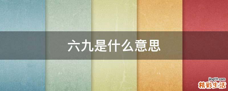 六九是什么意思