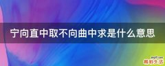 宁向直中取不向曲中求是什么意思