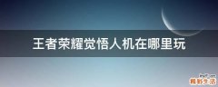 王者荣耀觉悟人机在哪里玩