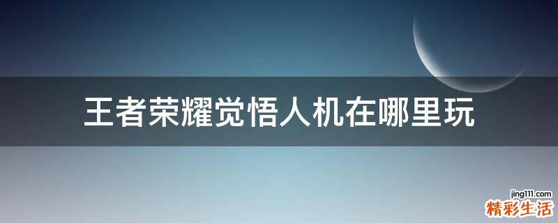 王者荣耀觉悟人机在哪里玩
