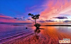 尿胆原增加的原因_尿胆原增加是怎么引起的