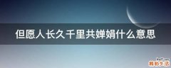 但愿人长久千里共婵娟什么意思