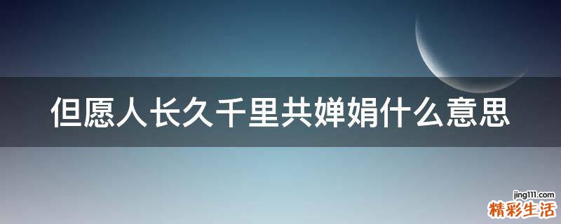 但愿人长久千里共婵娟什么意思