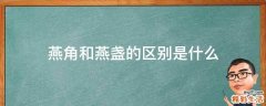 燕角和燕盏的区别是什么