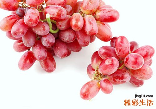 提子是酸性还是碱性